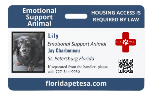 Emotional Support Animal Letter, Florida, Miami, Orlando, Emotional Support Dog, Emotional Support Cat, how to get an emotional support animal