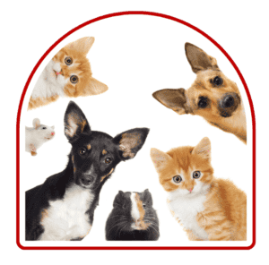 emotional support animal letter sale (4)